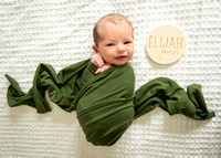 Elijah's Newborn Portraits